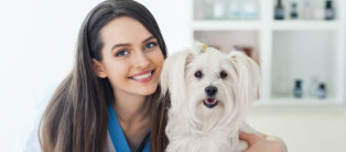 veterinary-solutions